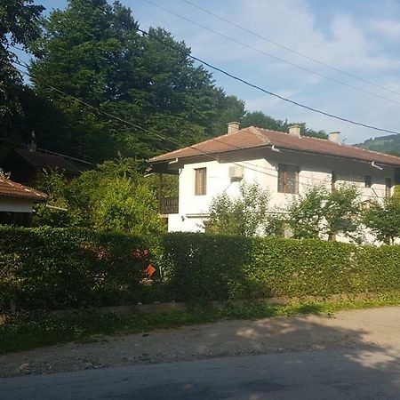 Вила Керенски Ribarica Ngoại thất bức ảnh