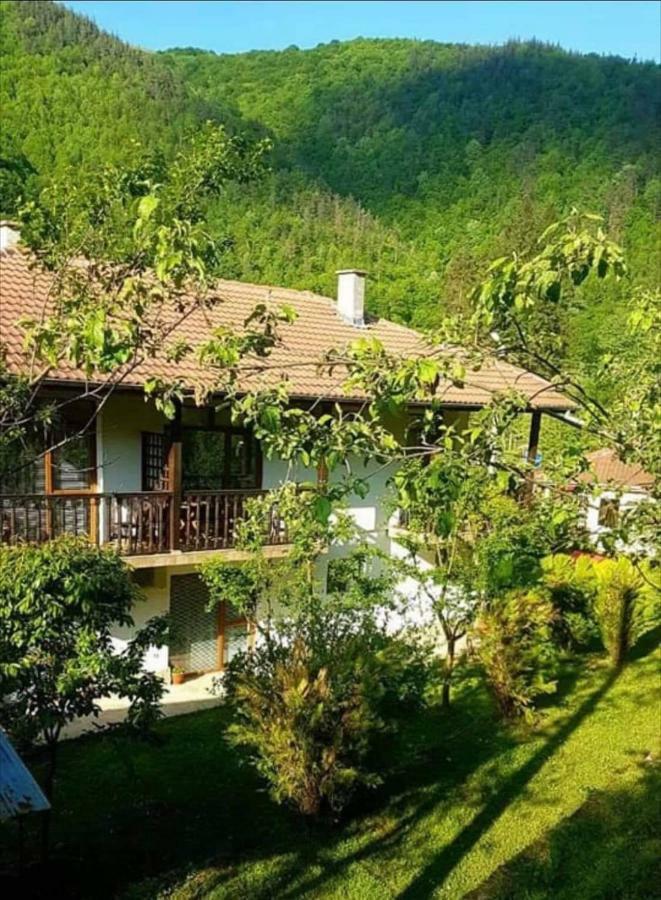 Вила Керенски Ribarica Ngoại thất bức ảnh